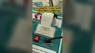 Dispositivo de prueba de voltaje soportado para botas y guantes aislantes ZXYTM-556